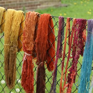 Liquid Natural Dye Extracts