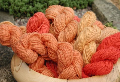 naturally dyed yarn from a natural dyeing workshop with Debbie Tomkies of DT Craft and Design