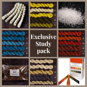 exclusive dyes and equipment pack for the loom shed natural dye study group