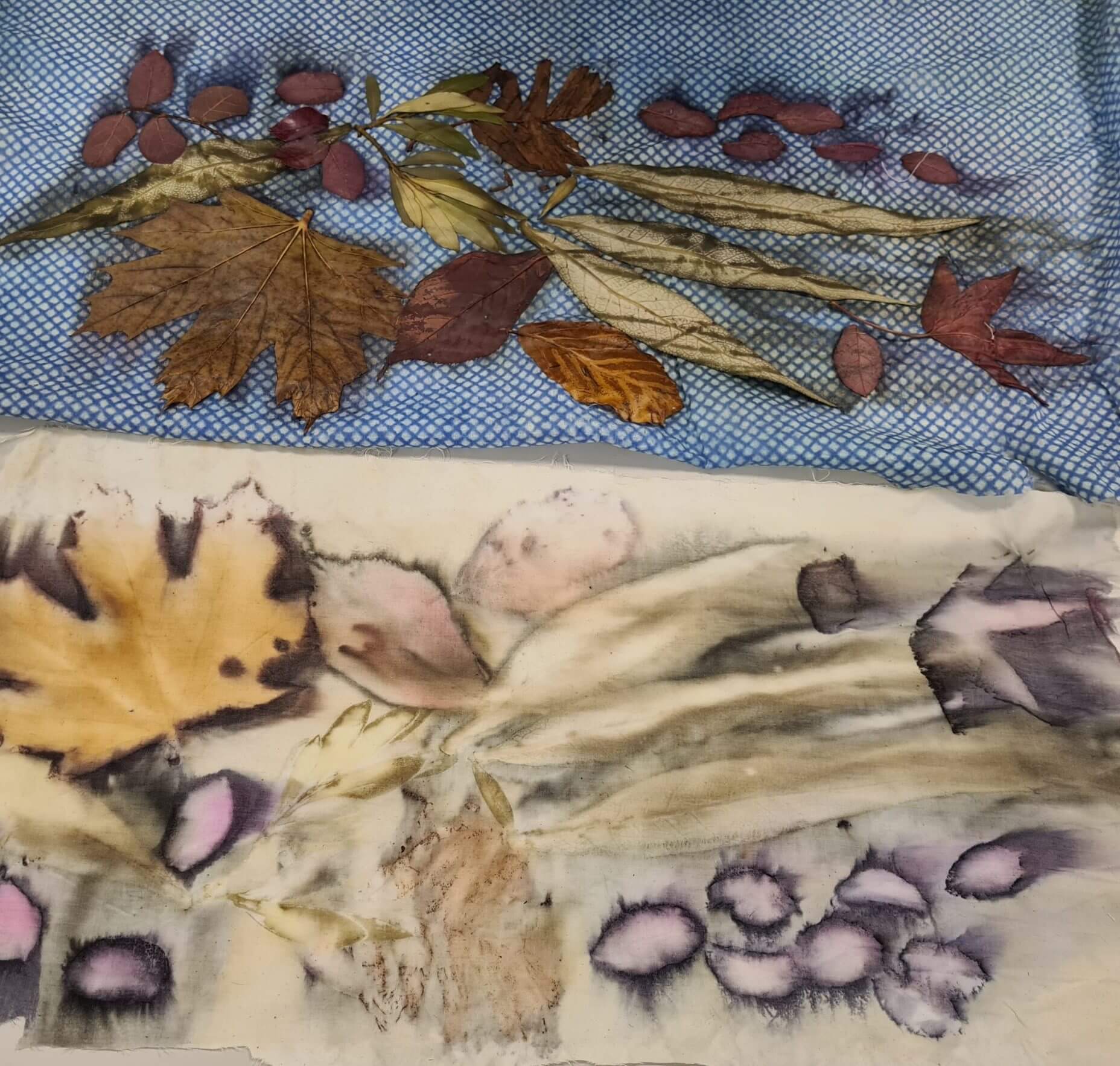 Introduction to botanical printing – Sunnybank Mills, Farsley nr Leeds